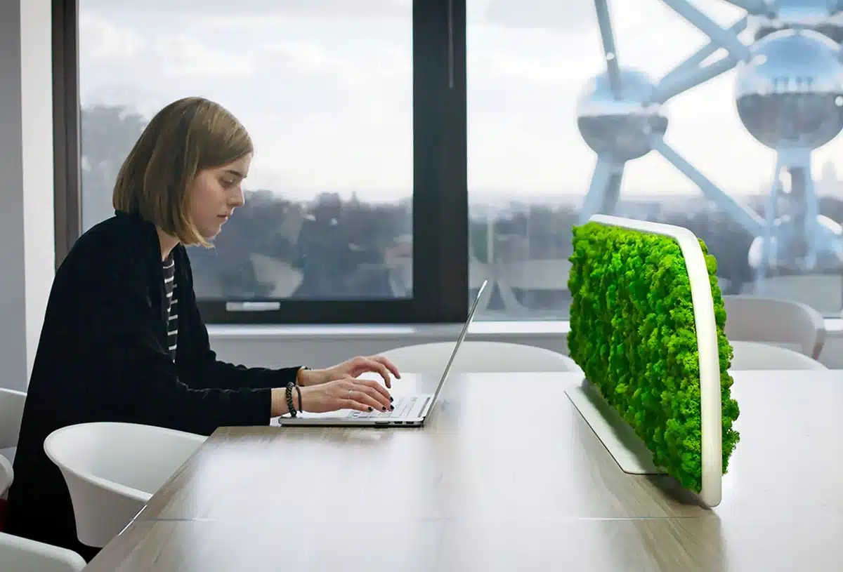 Person working on laptop with window view