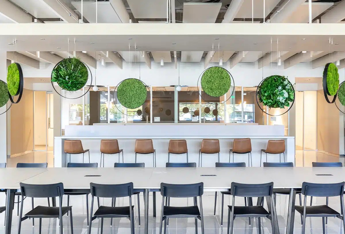Modern office interior with green circular decor display.