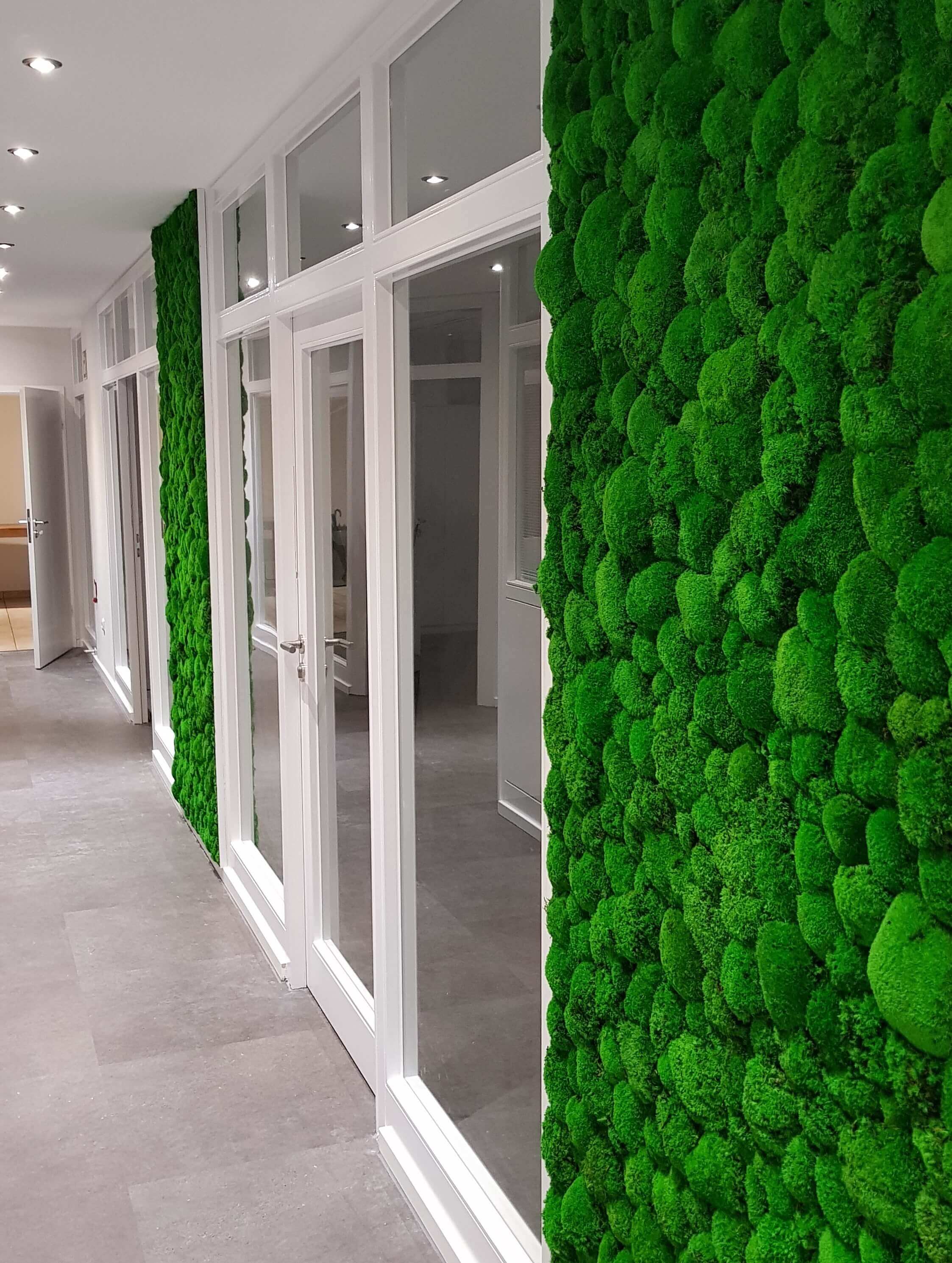 Ball moss walls for Wisag, Germany