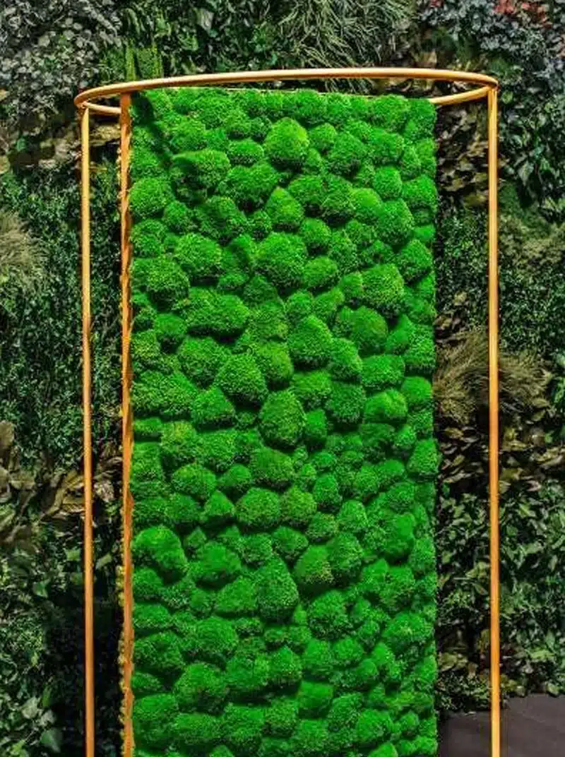 Lush green moss wall with gold frame.