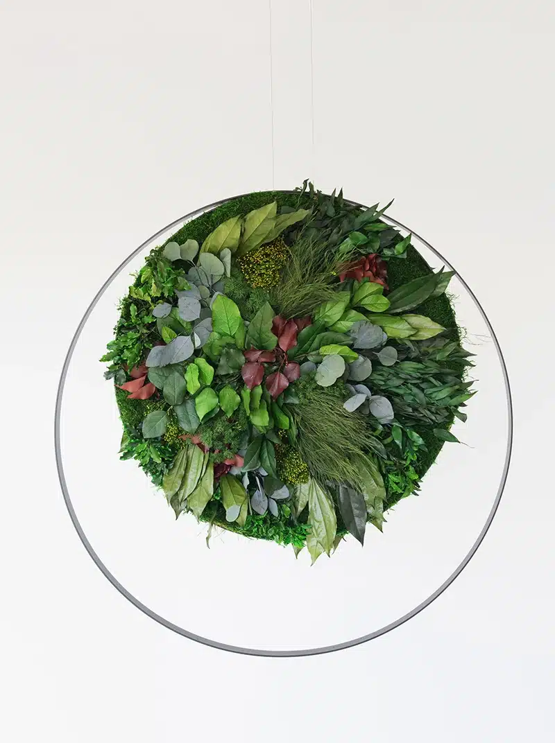 Circular green foliage wall art installation