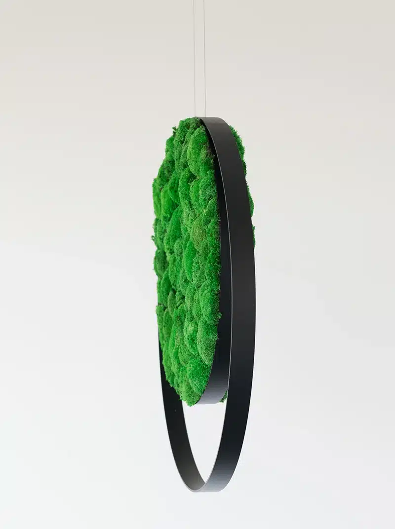 Hanging green moss decorative ring sculpture