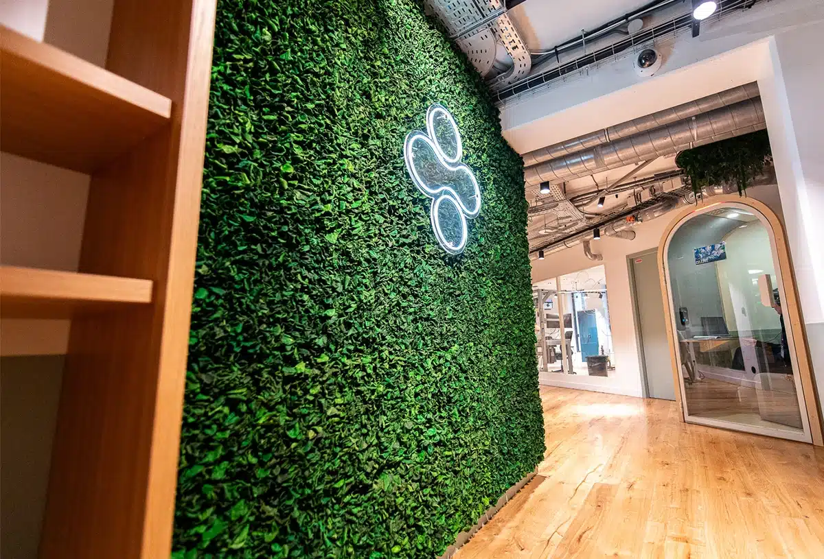 Greenmood_Velvet-Leaf-Product-03