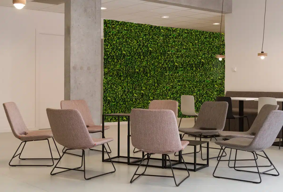 Greenmood_Velvet-Leaf-Product-04