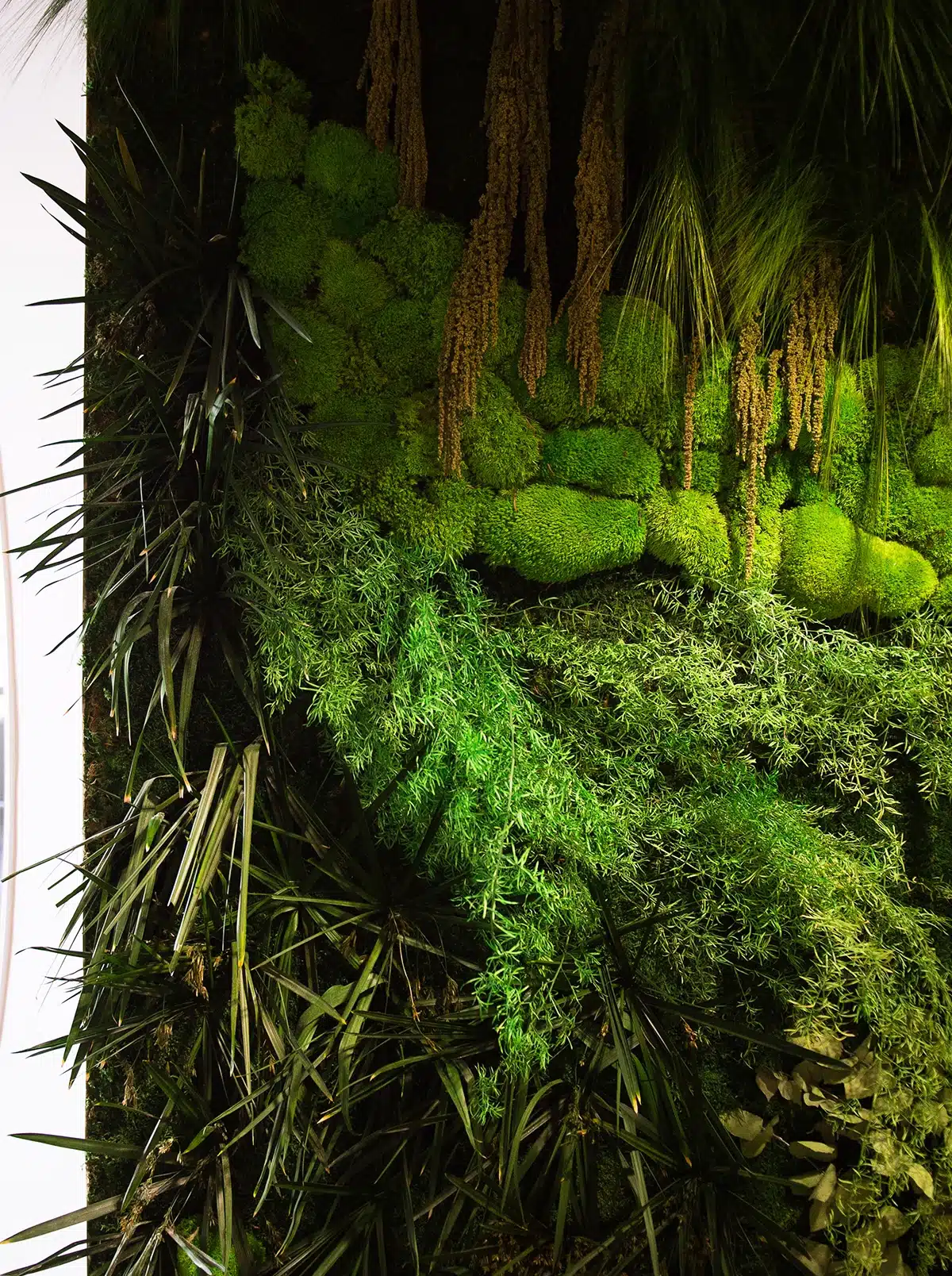 green wall, accoustic wall