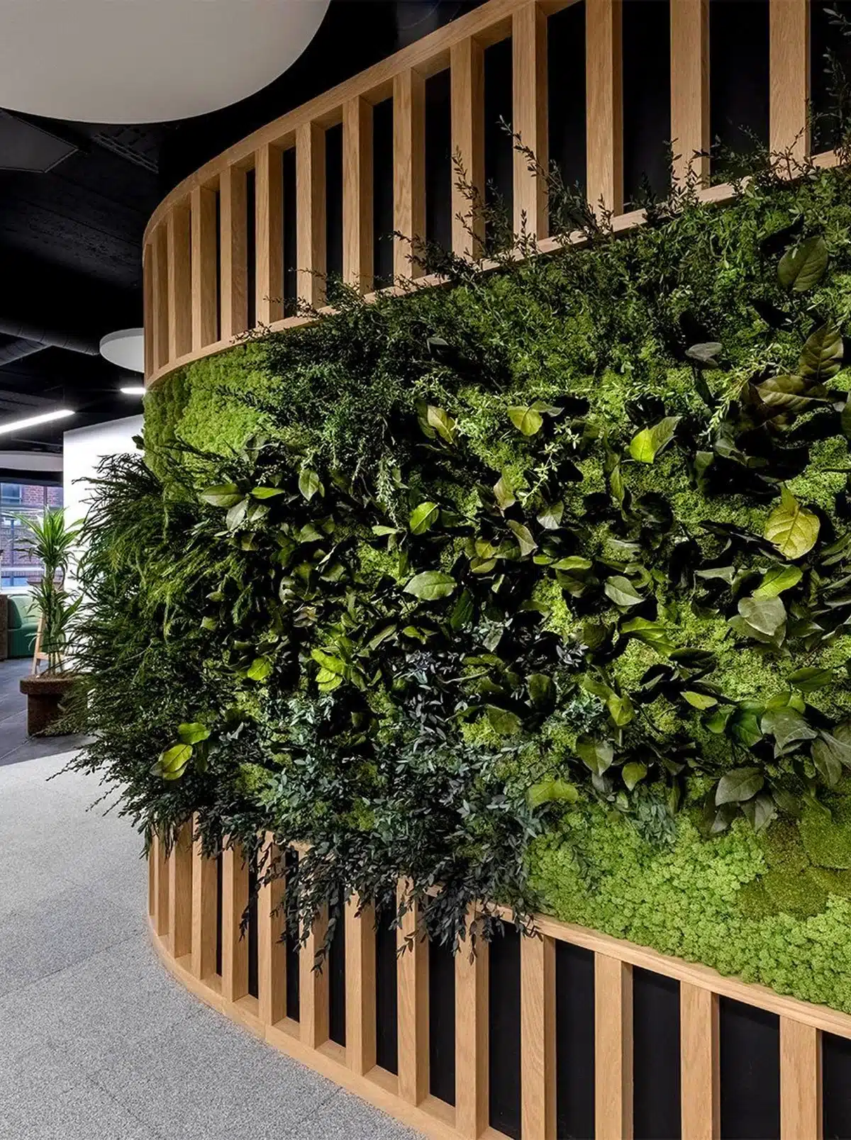 green wall, accoustic wall