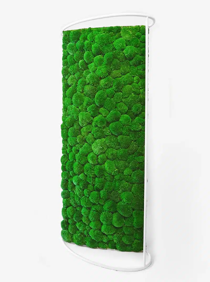 Vertical green moss wall art installation.