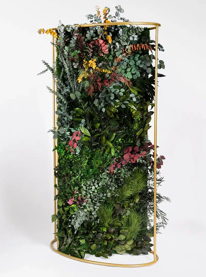 Decorative vertical garden with diverse plants and frame.