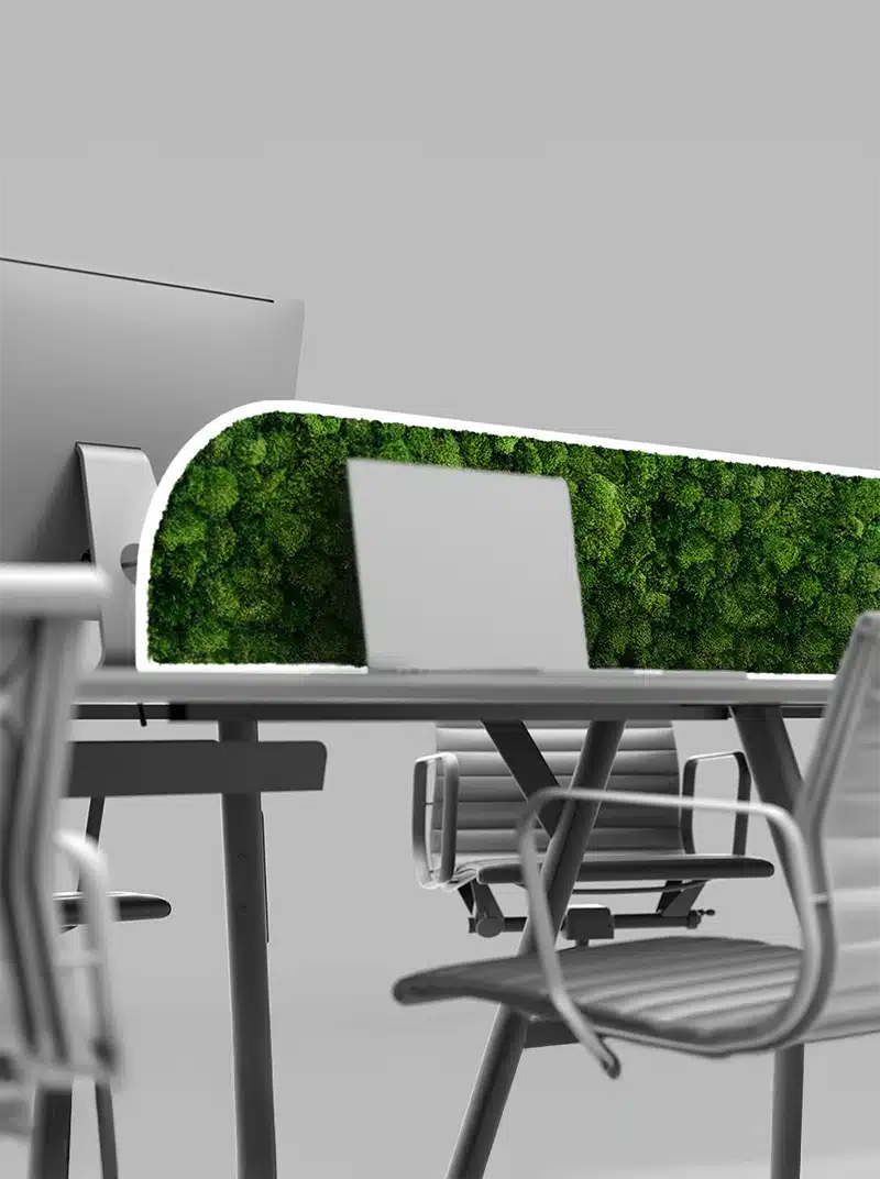 Modern office with green moss divider