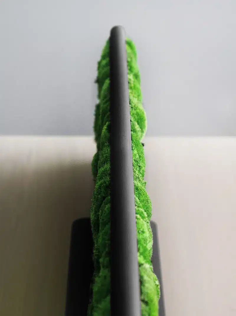Close-up of bicycle tire with bright green moss