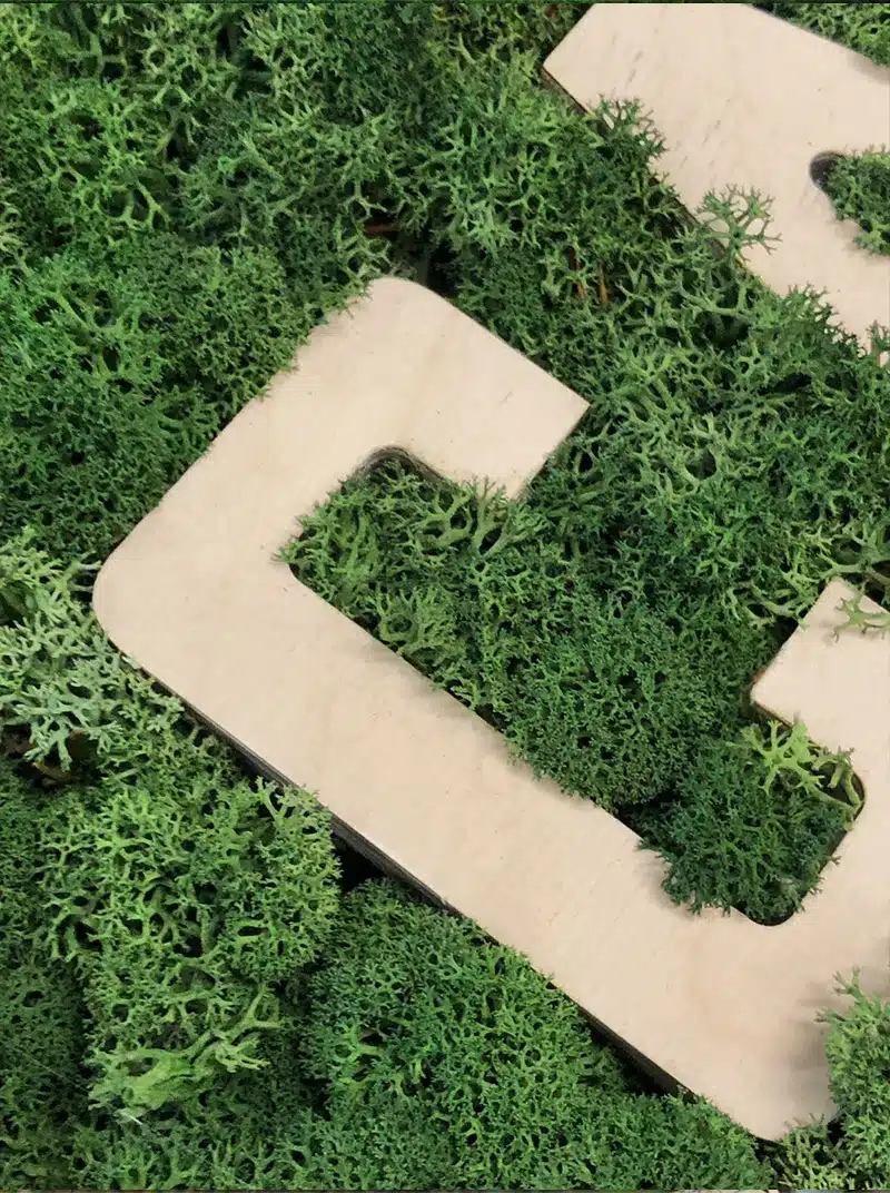Wooden letter C on green moss background.