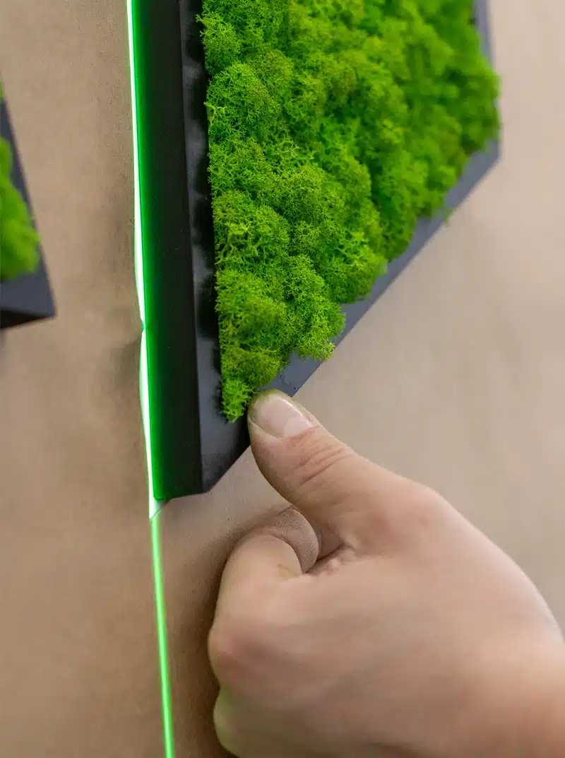 Hand adjusting green moss on wall panel