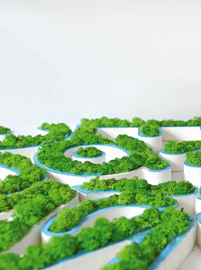 Green moss art on white background