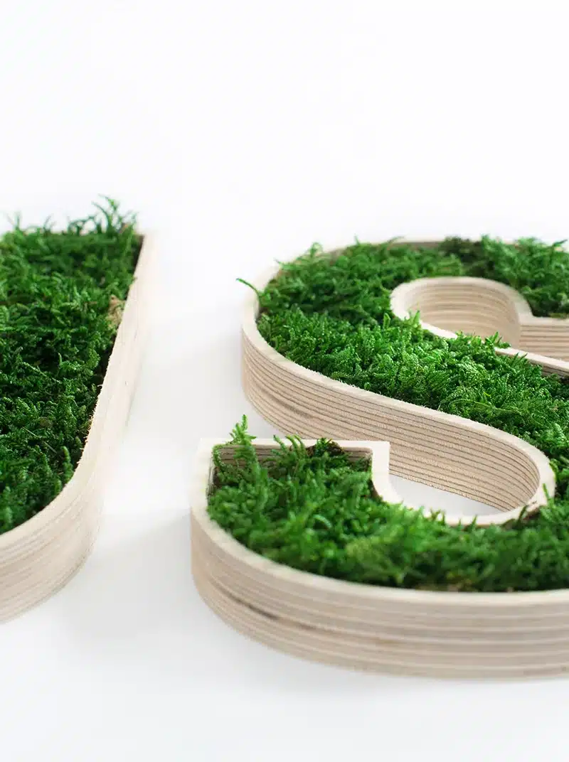 Wooden letters filled with green moss.