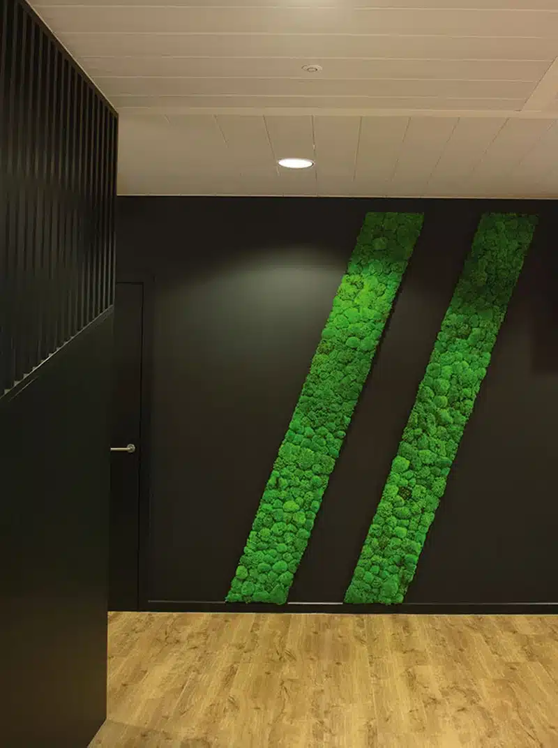 Modern wall design with green moss accents.