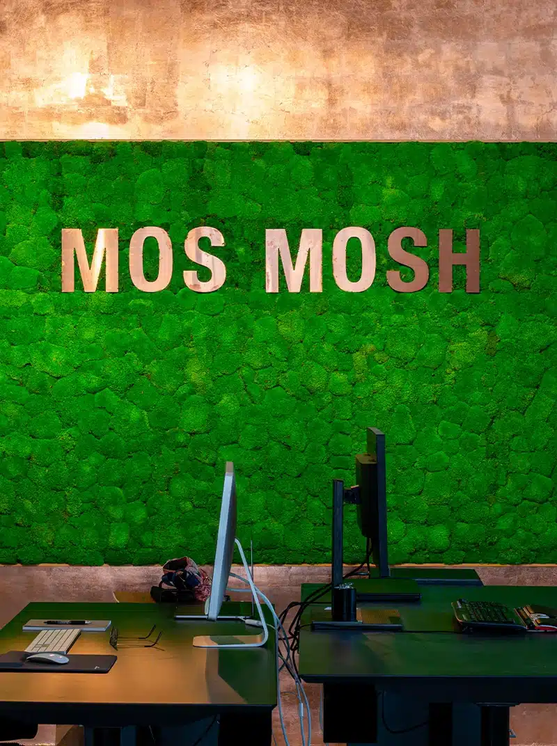 Green wall with 'MOS MOSH' logo and desks.