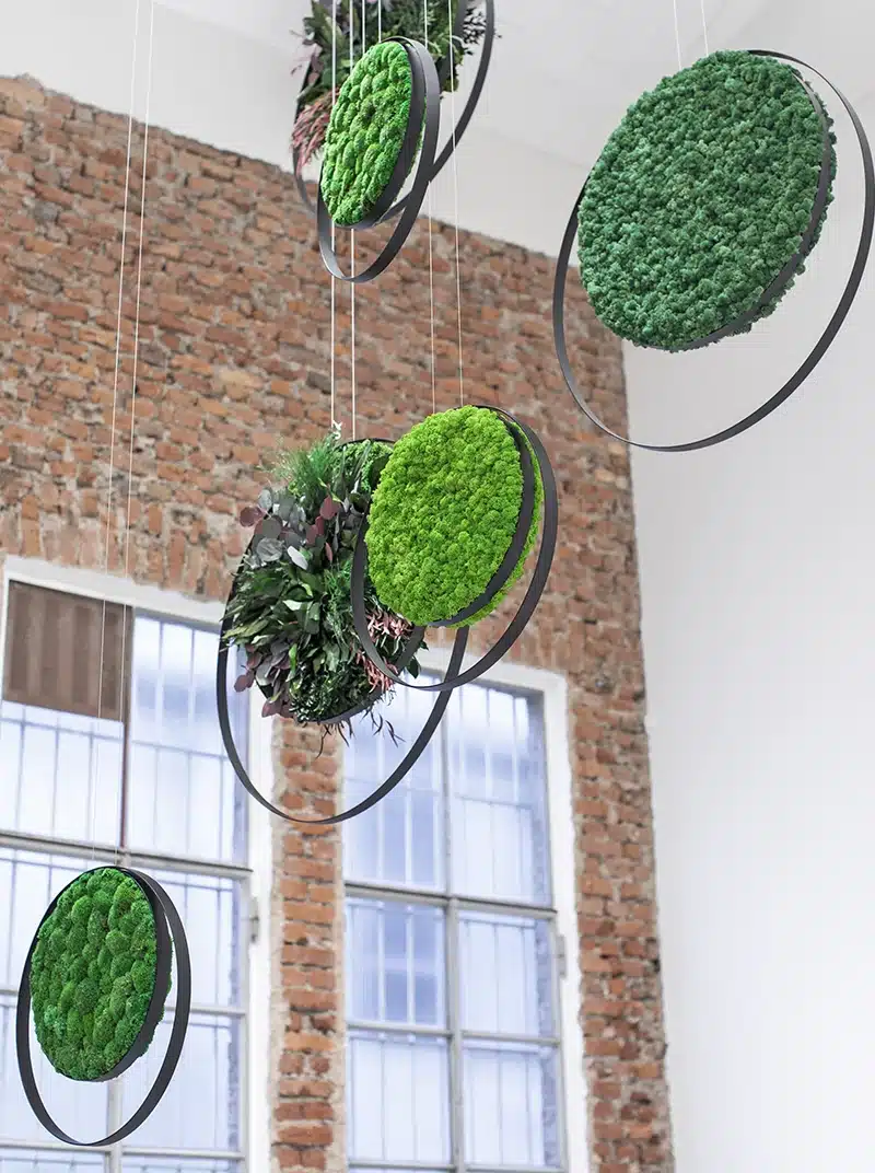 Hanging green moss decorations in industrial space