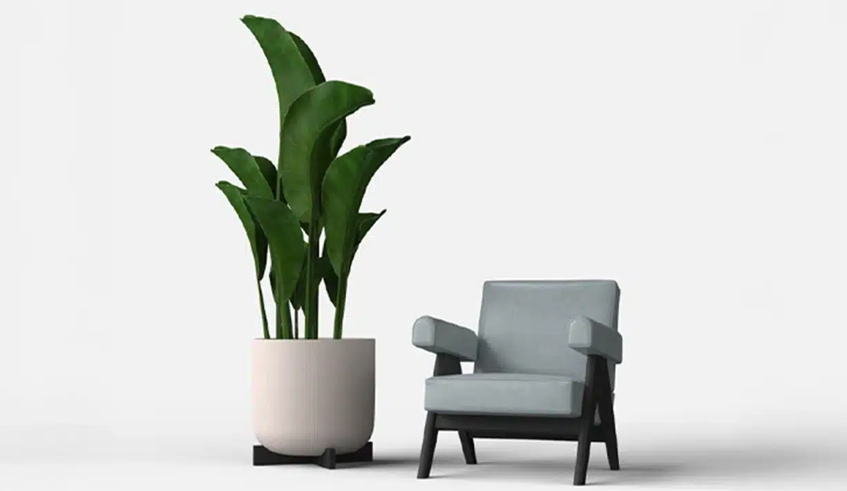 Greenmood_product_Cruz-02