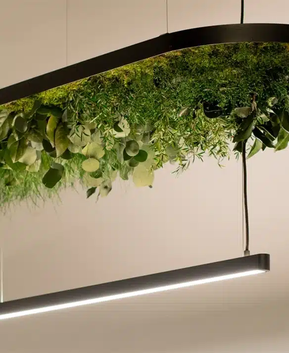 Modulor,Mobile natural partitions,Modular mobile divider,Green Modular mobile divider,Green Modular divider