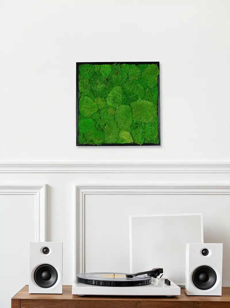 Moss wall art above turntable and speakers.