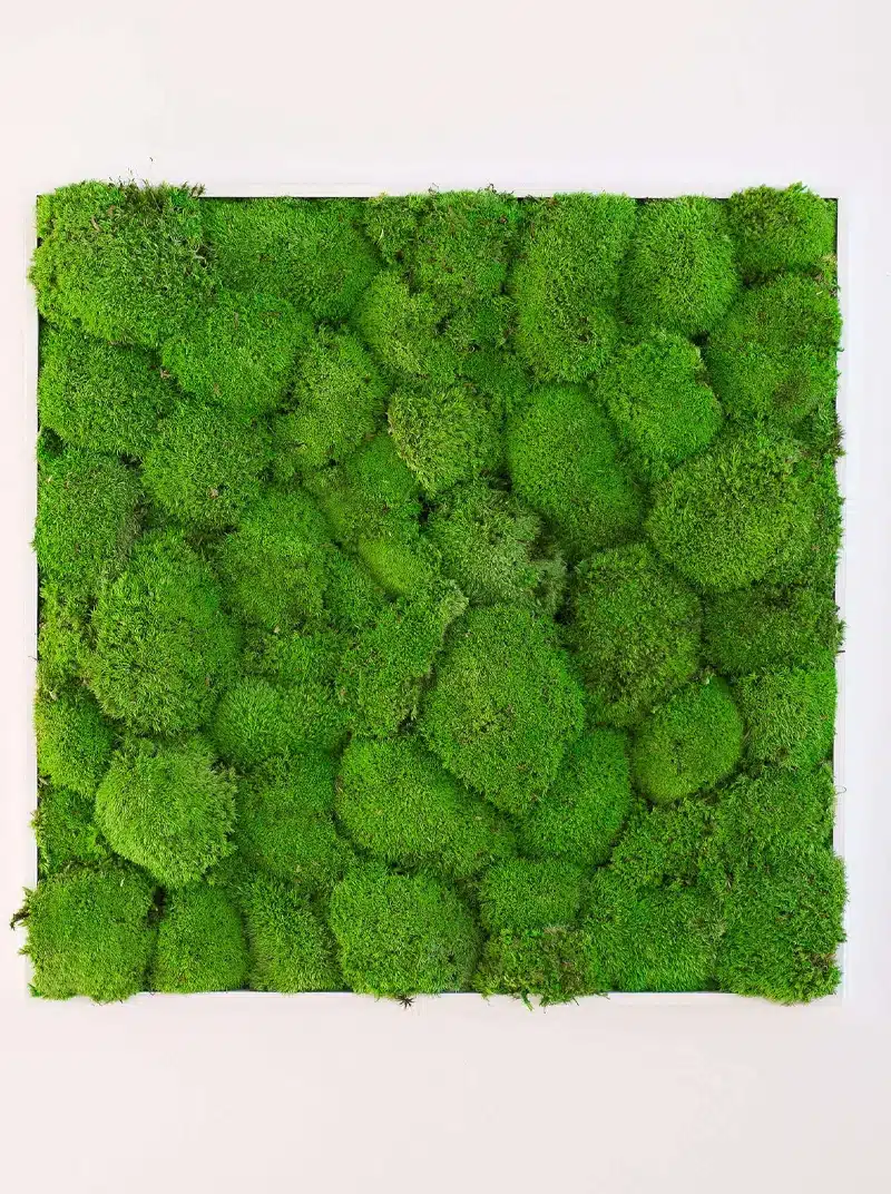 Square green moss wall decor.
