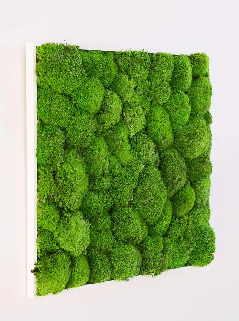 Green moss wall art installation indoors.