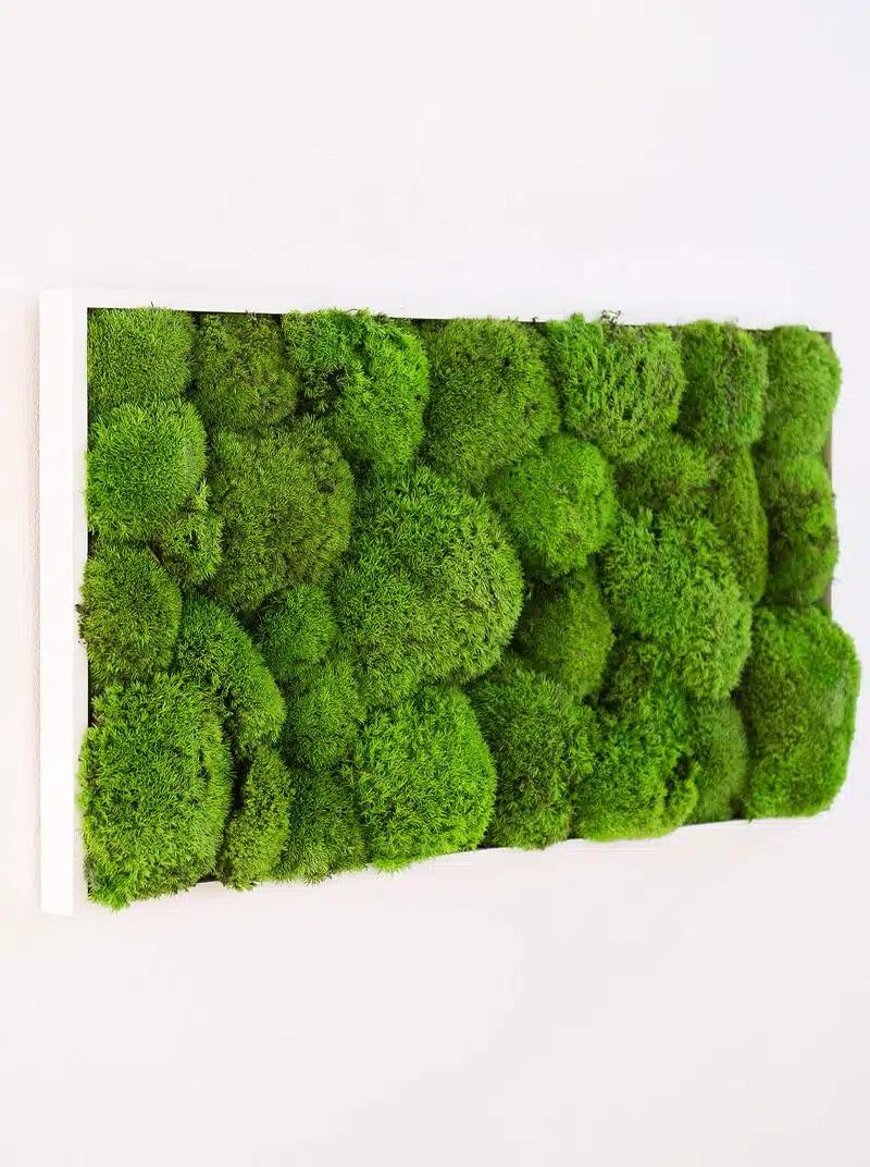 Vertical moss garden panel on white wall