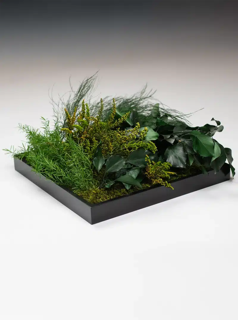 Decorative square planter with assorted green foliage.