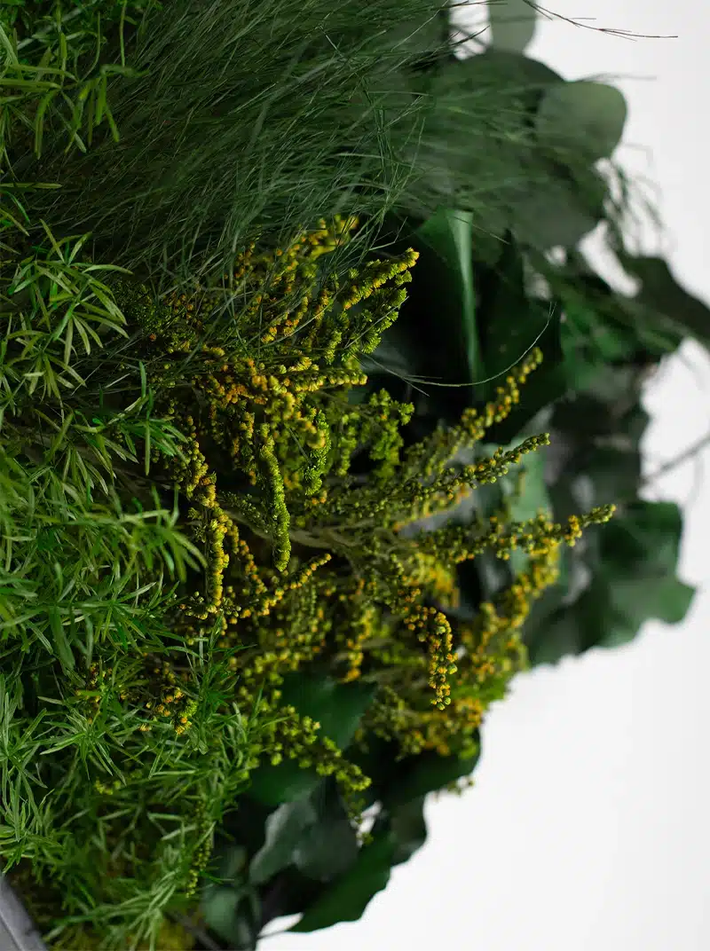 Close-up of lush green plants and yellow flowers.