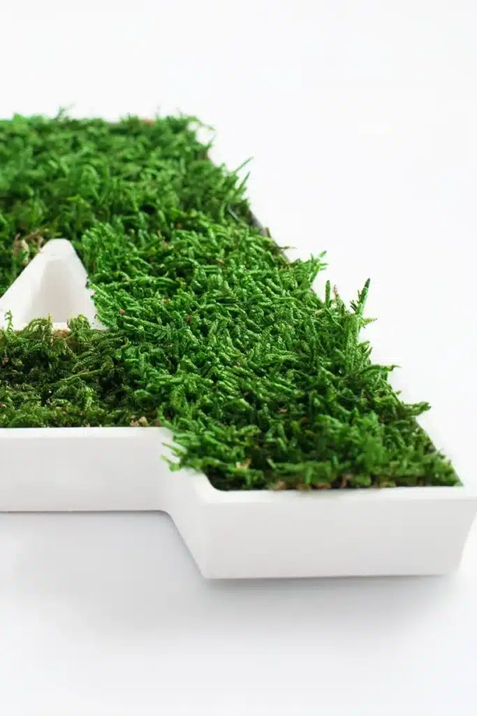 Moss-filled letter A on white background.