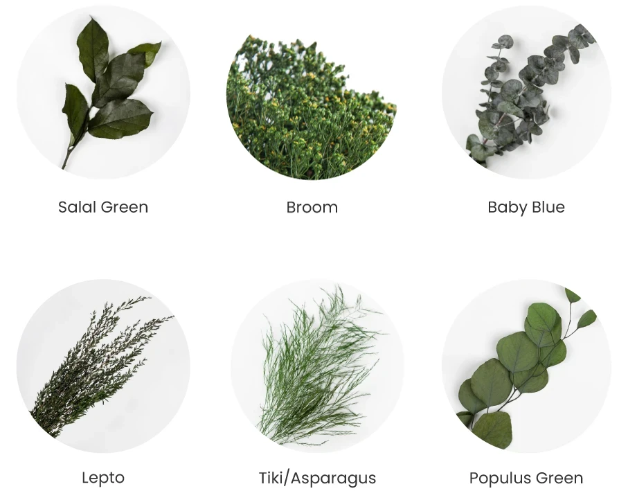 greenmood green hues selection 01a