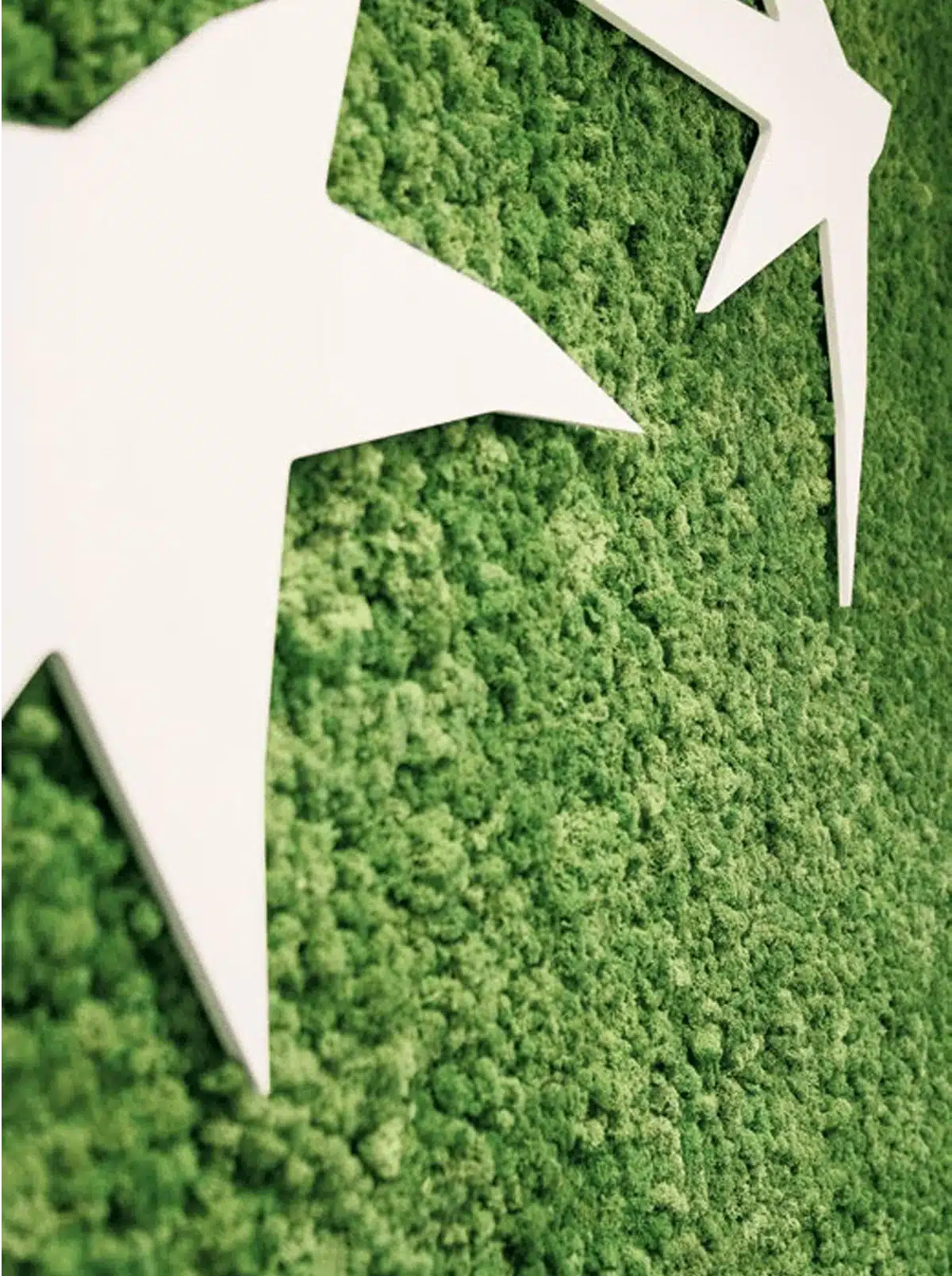 greenmood lichen 08.webp