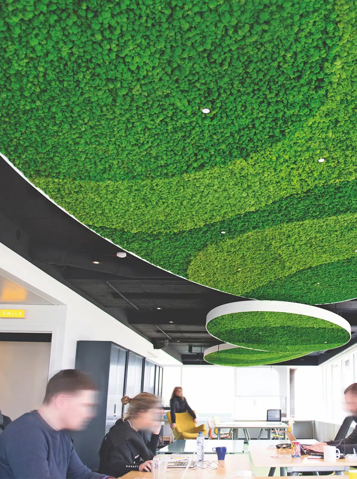 greenmood lichen 09.webp