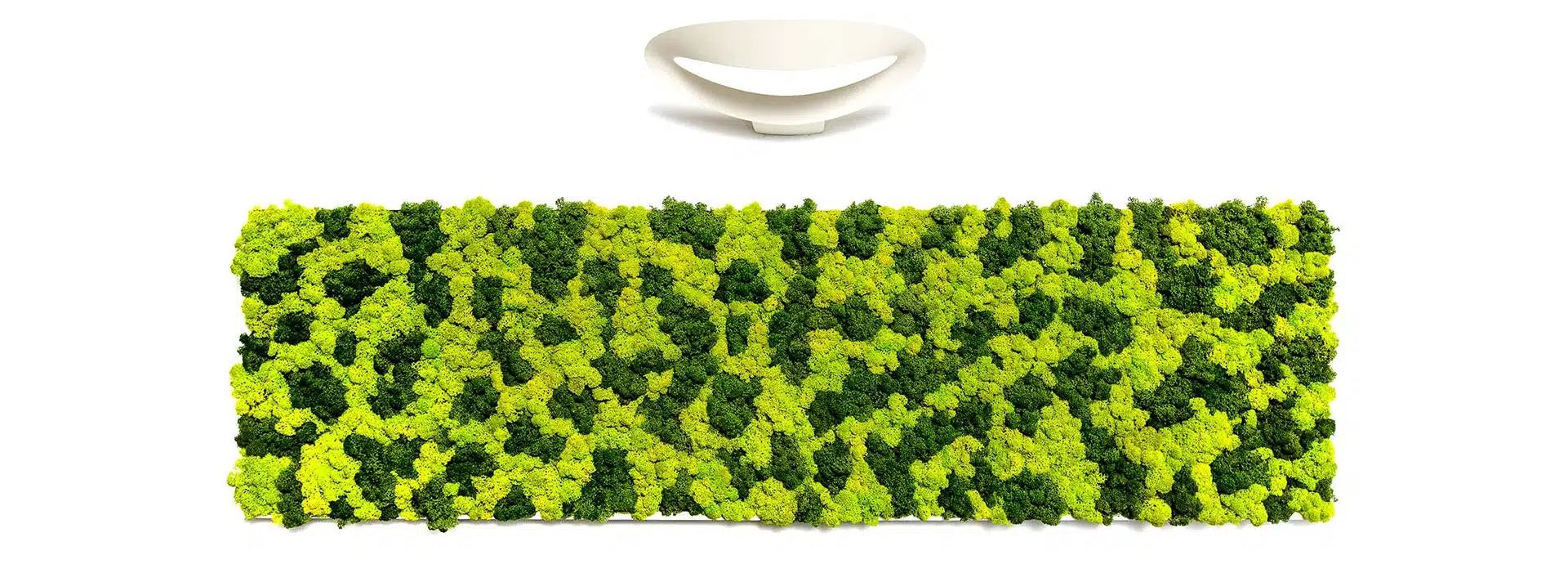 greenmood lichen large 01.webp