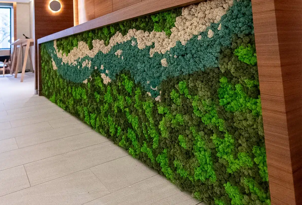 greenmood lichen wall 04.webp