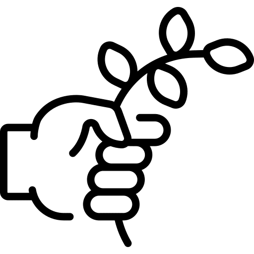 olive branch 12054742.png