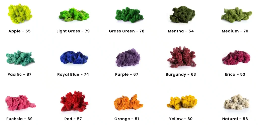 reindeer moss colors 01.webp