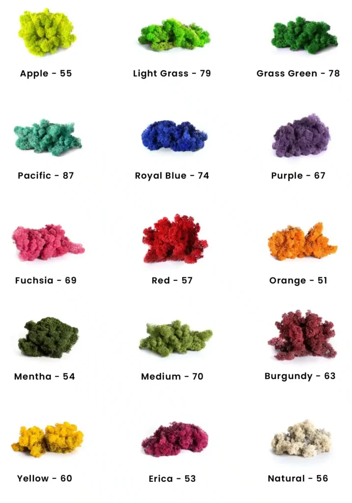 reindeer moss colors mobile.webp